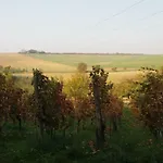 Za Humny Je Sklep