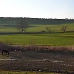 Za Humny Je Sklep Kostelec (Hodonin)