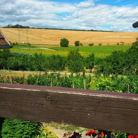 Za Humny Je Sklep * Kostelec (Hodonin)